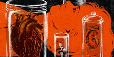 Sawers Flash Kelsey Short Thumb